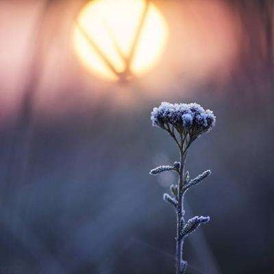 半岛手机综合体育官方下载安装截图